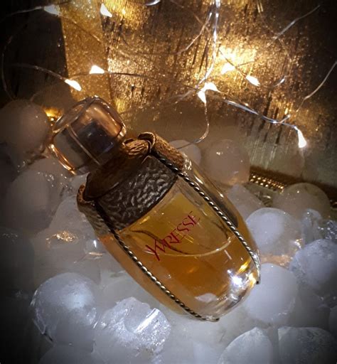 ysl champagne